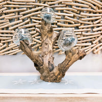Mouthblown Glass on Driftwood