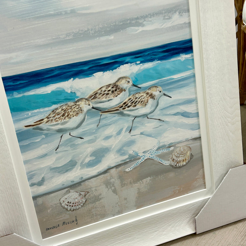 Sandpipers on Shore w/Starfish  Framed Print