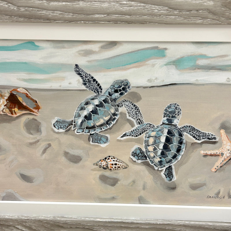 Sea Turtle Hatchlings on the Shore Framed Print