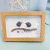 Assorted Inspiring Bird Pebble & Driftwood Art