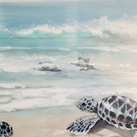 Trio of Turtles On Shore Framed Print