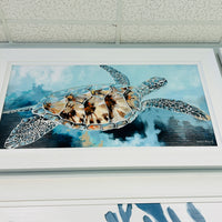 Solo Swimming Turtle Framed Print