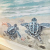 Trio of Turtles On Shore Framed Print