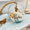 Glass Terrarium w/ Seaglass, Sand, and Shells
