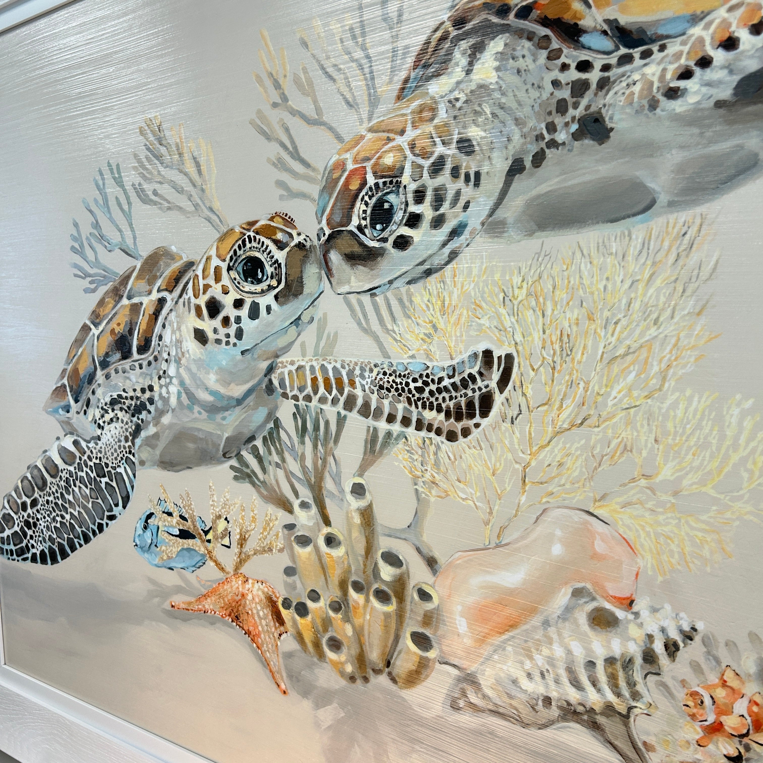 Turtle Duo in Coral Bed Framed Print – Sunshine & Sweet Pea's