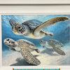 Trio of Swimming Turtles Framed Print