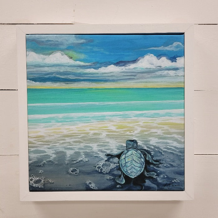 Assorted Sea Turtle Prints