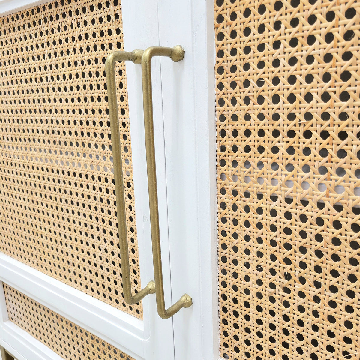 Biscayne White 2-Door Cane Cabinet