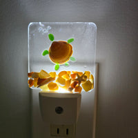 Acrylic Night Lights w/ Coastal Designs in Glass, Sand, Shells Resin