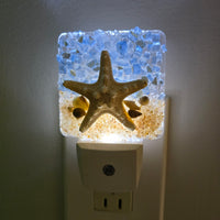 Acrylic Night Lights w/ Coastal Designs in Glass, Sand, Shells Resin