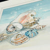 Seashell Collage Framed Print