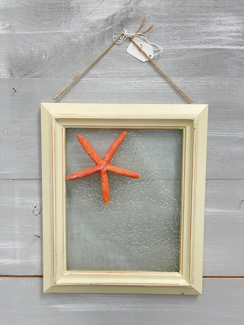 Seashell & Starfish Glass Windows