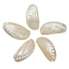 Assorted Medium to Large Individual Shells