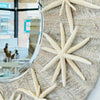 Round Plank Framed Mirror w/ Large Dried Starfish