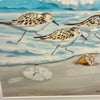 Sandpipers on Shore w/Sand Dollar Framed Print