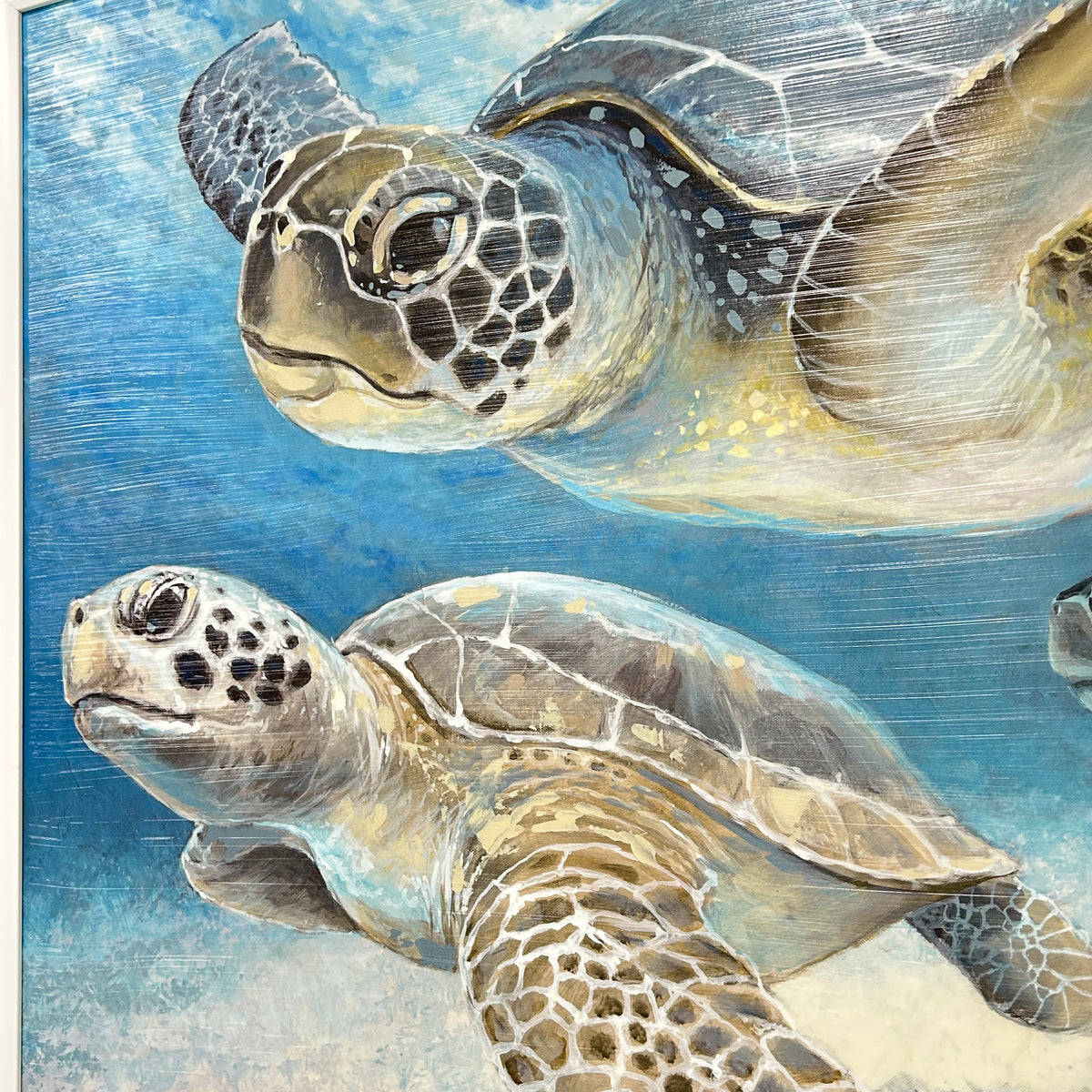 Trio of Swimming Turtles Framed Print