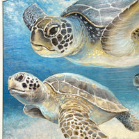 Trio of Swimming Turtles Framed Print