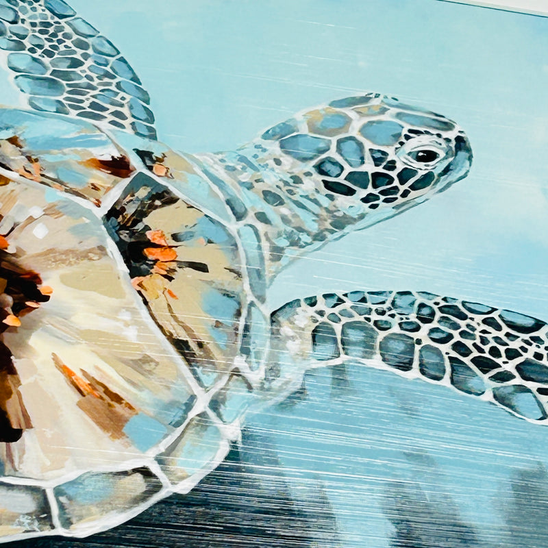 Solo Swimming Turtle Framed Print