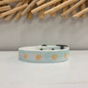 Medium Sun Dog Collar - Sunshine & Sweet Pea's Coastal Decor