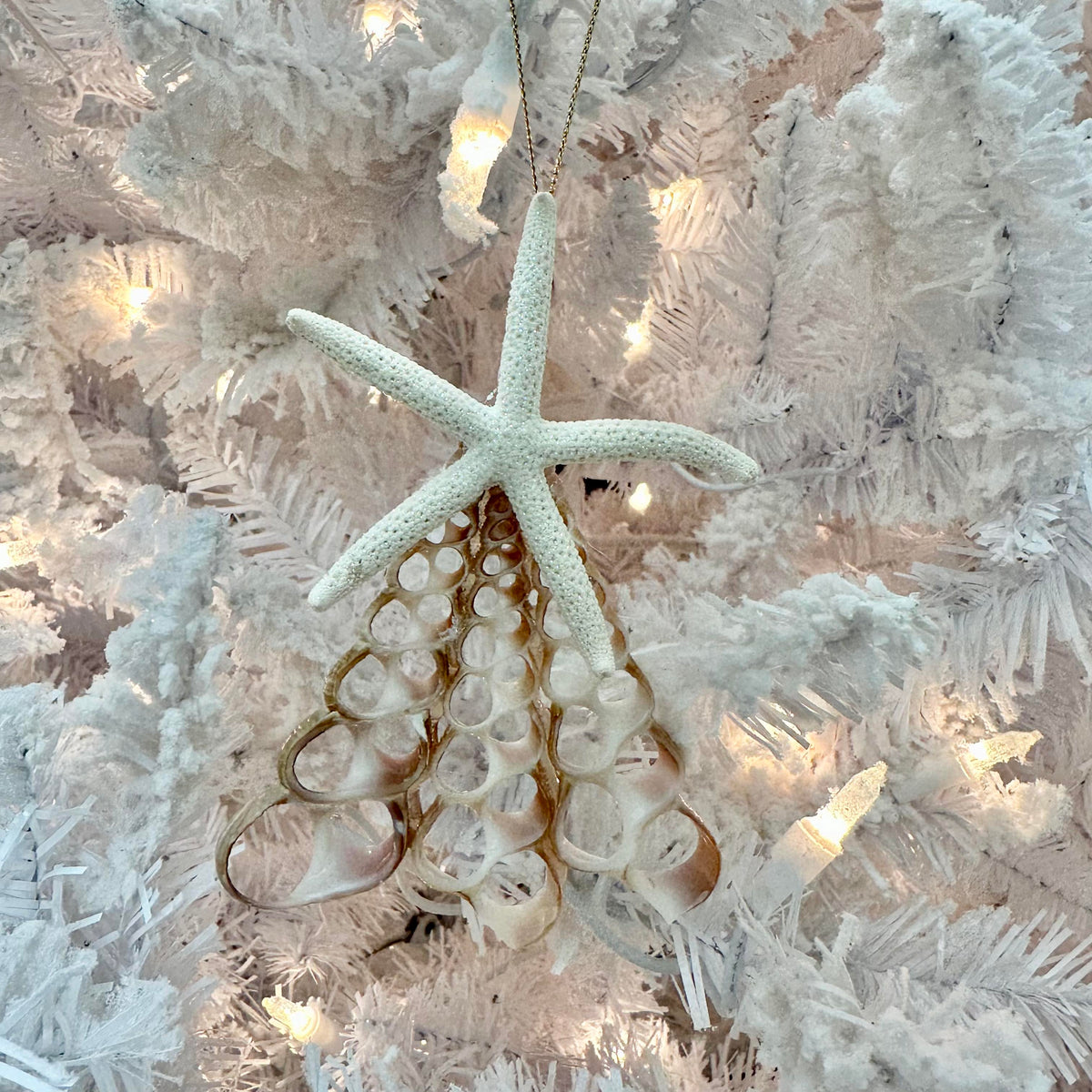 Seashell Christmas Tree Ornament Sunshine & Sweet Peas Coastal Decor