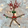 Assorted Reindeer Starfish Christmas Ornament