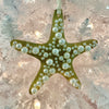 Assorted Starfish w/Glass & Pearl Embellishments Christmas Ornament