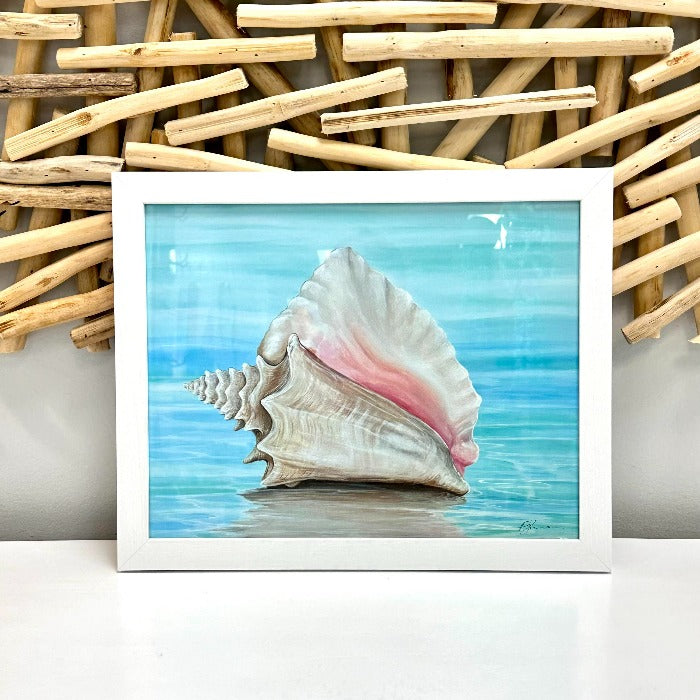 Assorted Framed Conch Shell Prints - Sunshine & Sweet Pea's Coastal Decor