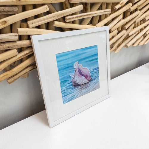 Framed Pink Conch Shell Print