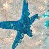 Assorted Starfish w/Glass & Pearl Embellishments Christmas Ornament