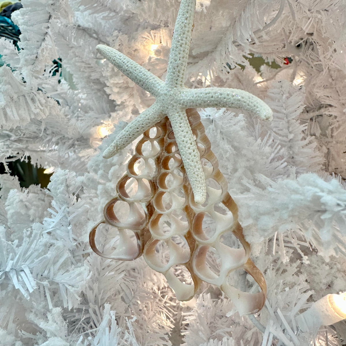 Seashell Christmas Tree Ornament Sunshine & Sweet Peas Coastal Decor