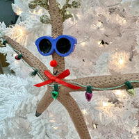 Assorted Reindeer Starfish Christmas Ornament