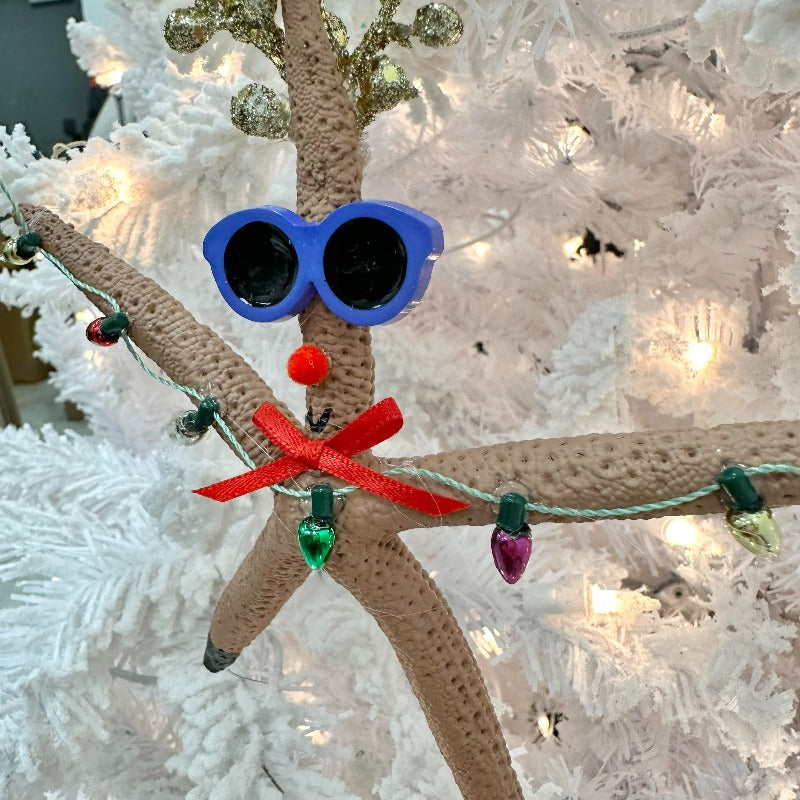 Assorted Reindeer Starfish Christmas Ornament