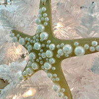 Assorted Starfish w/Glass & Pearl Embellishments Christmas Ornament