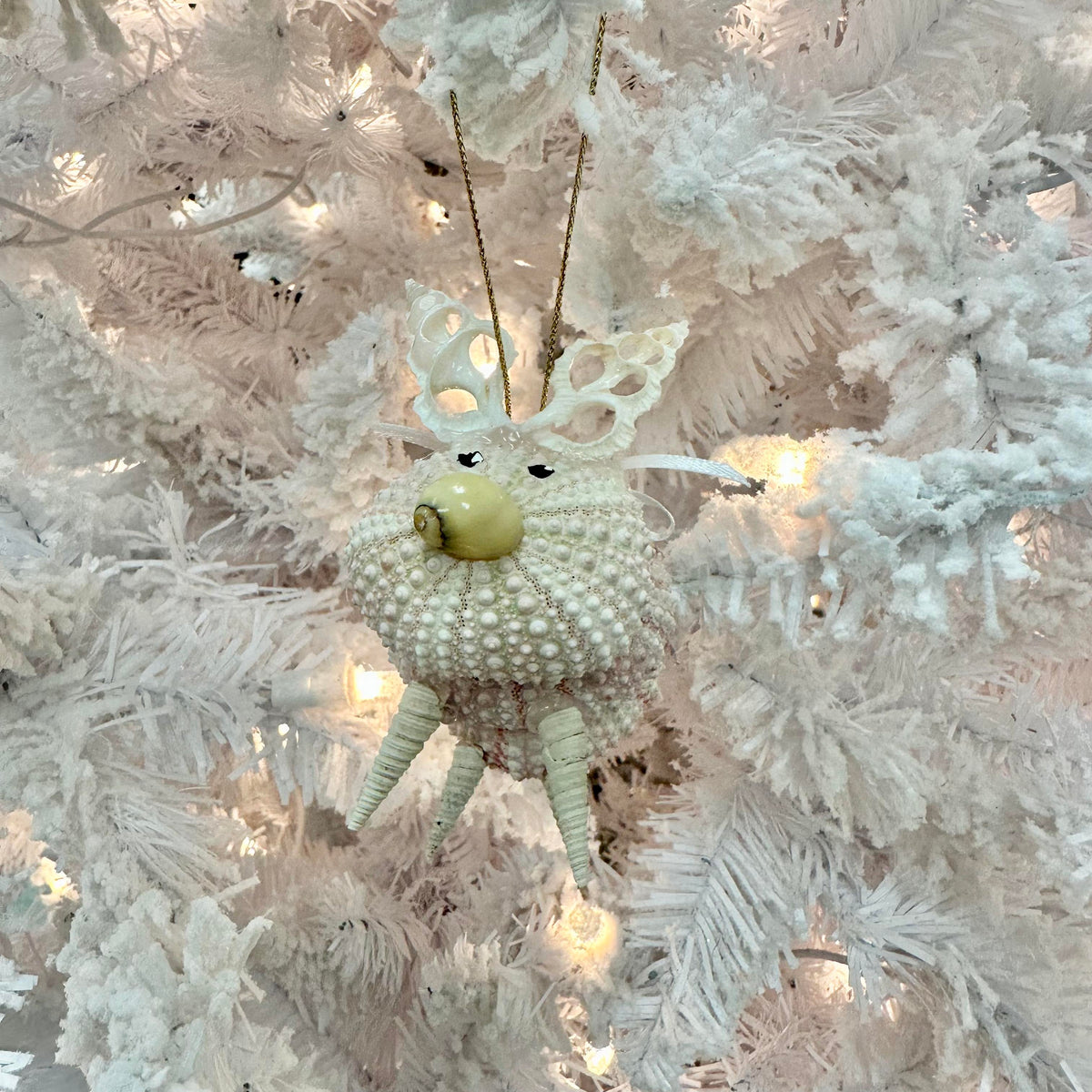 Sea Urchin Pig Christmas Ornament Sunshine & Sweet Peas Coastal Decor