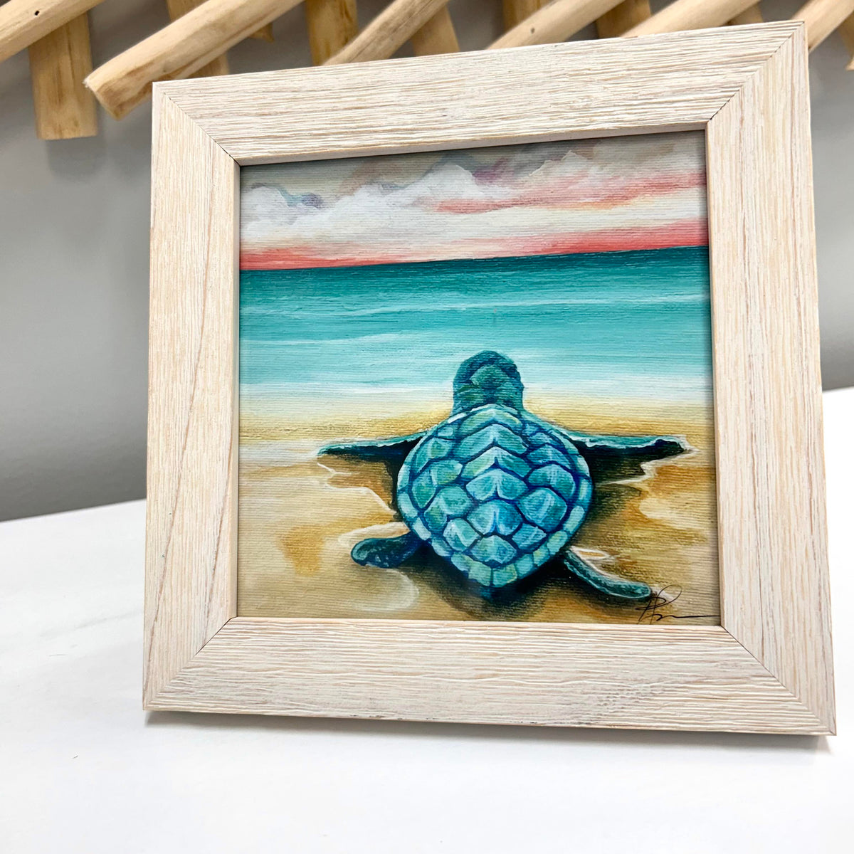 Assorted Baby Sea Turtle Prints