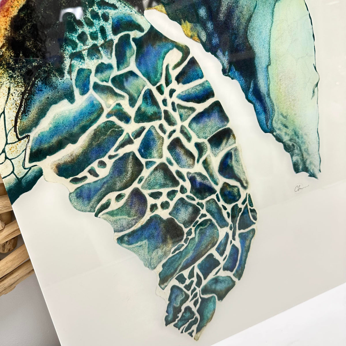 Acrylic Sea Turtle Print of Original Digital Art