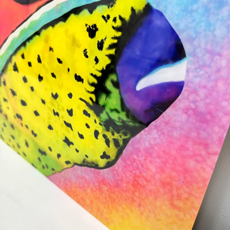 Acrylic Parrot Fish Print of Original Digital Art