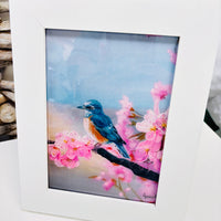 Assorted Artist Prints of Original Paintings: Birds