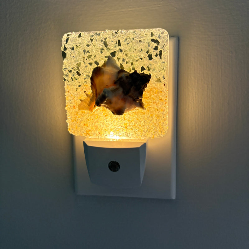 Acrylic Night Lights w/ Coastal Designs in Glass, Sand, Shells Resin
