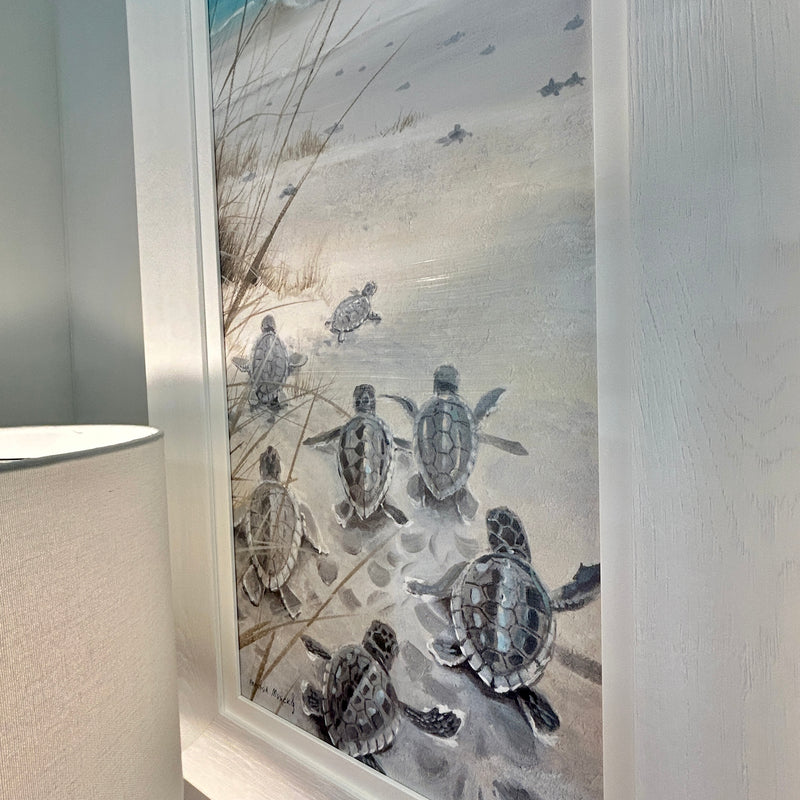 Sea Turtle Hatchlings on the Shore Framed Prints