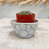 Oyster Shell w/Pearl Assorted Succulent Planters - Sunshine & Sweet Pea's Coastal Decor