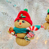 Assorted Sea Urchin Gingerbread Man Christmas Ornament