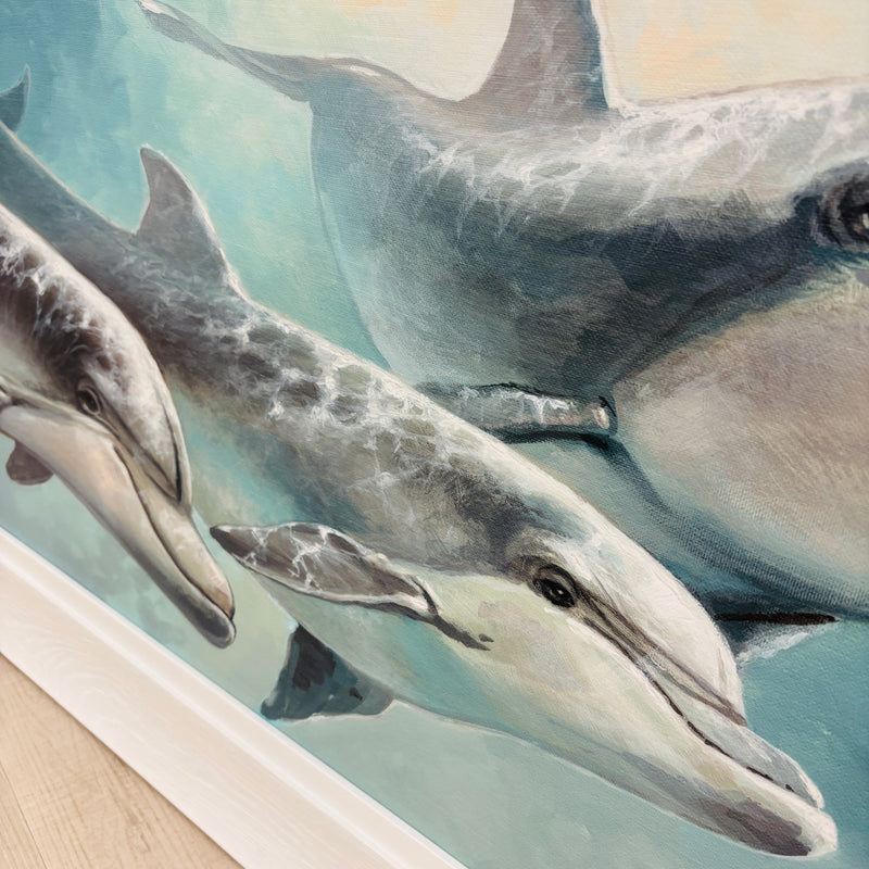 Dolphin Pod Framed Print