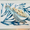 Left Facing Turtle w/Navy Coral Framed Print