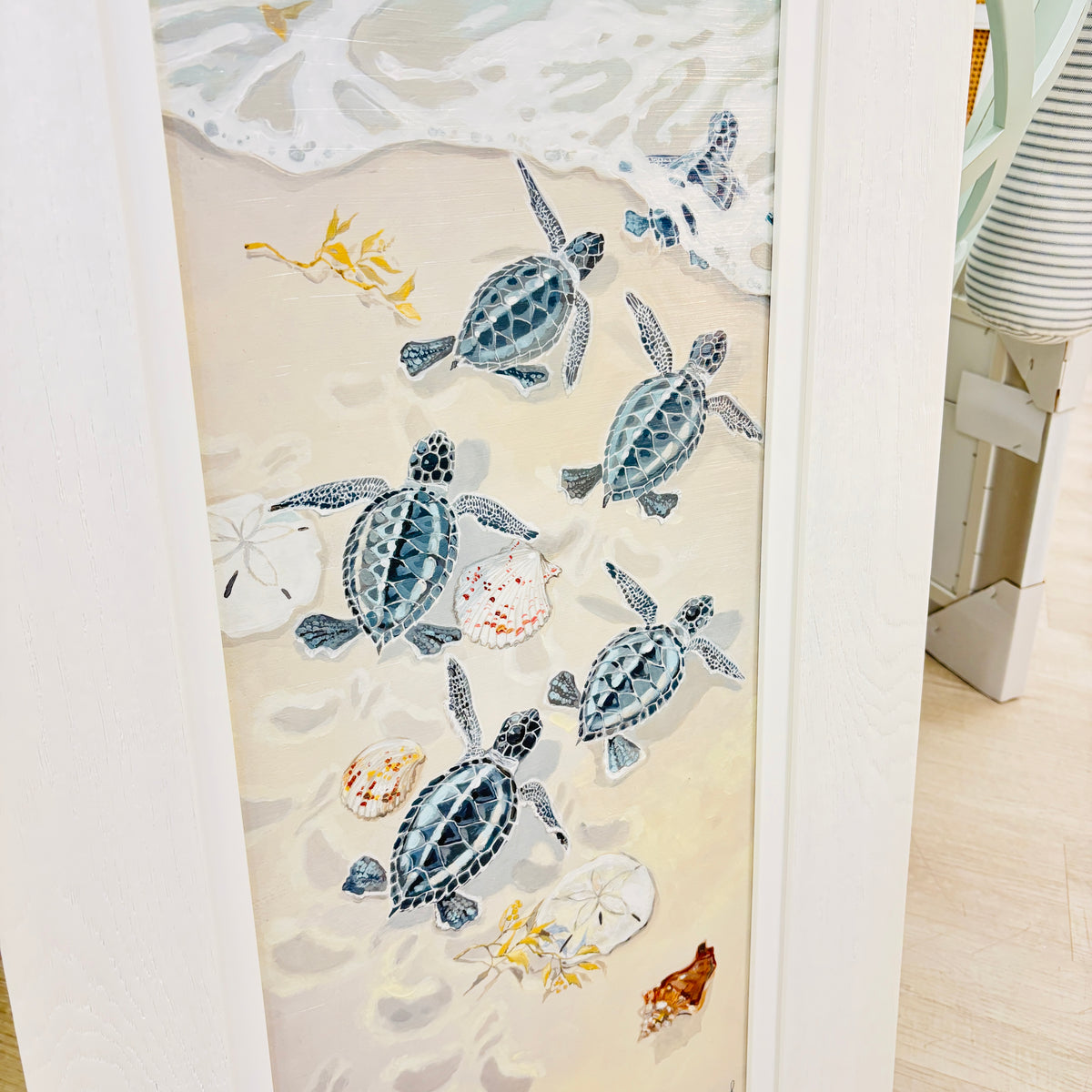 6 Sea Turtle Hatchlings On Shore Framed Print