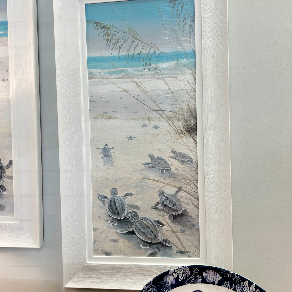 Sea Turtle Hatchlings on the Shore Framed Prints