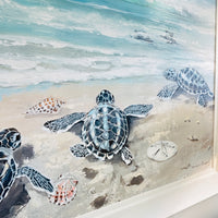 Trio of Turtles On Shore Framed Print