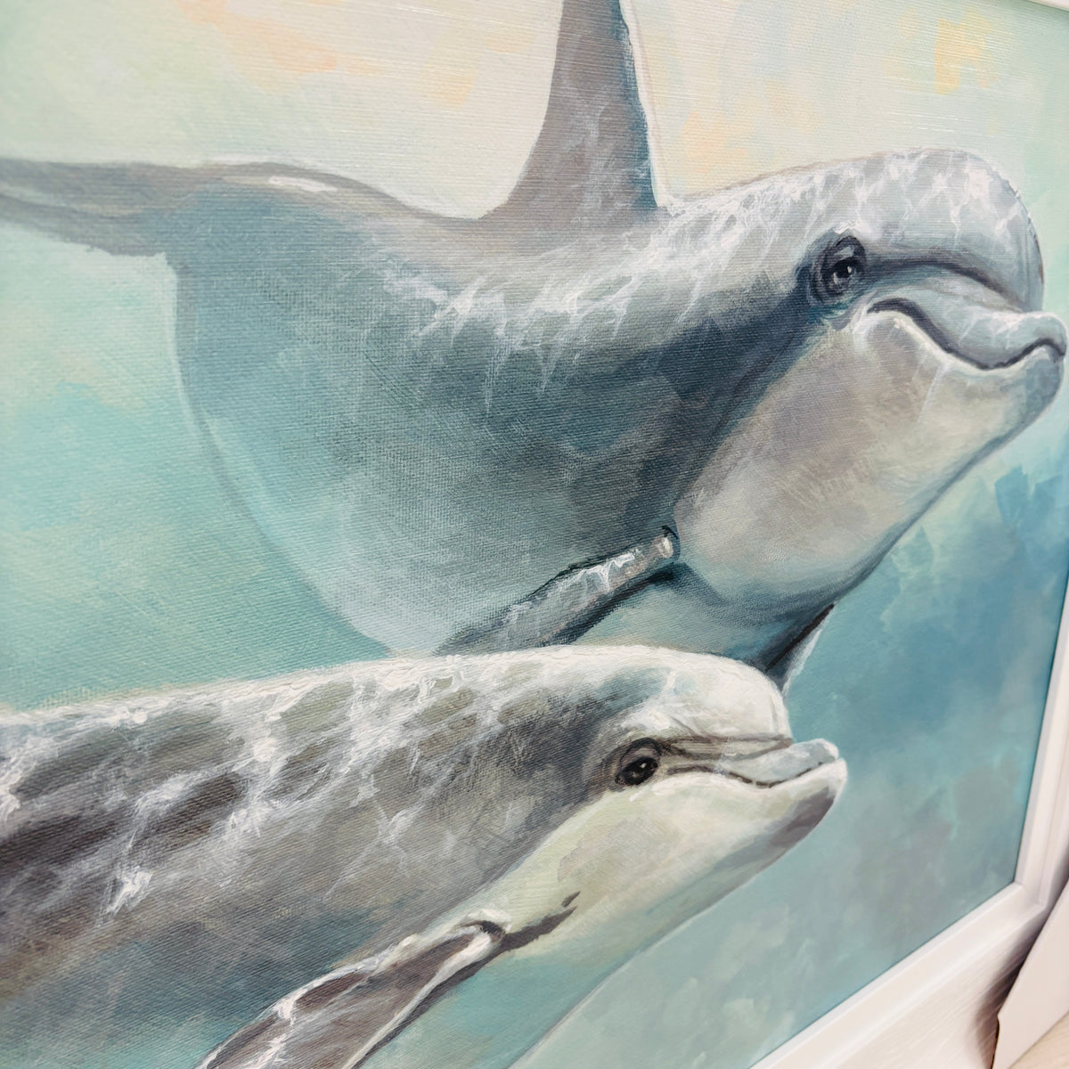 Dolphin Pod Framed Print