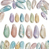 Assorted Medium to Large Individual Shells