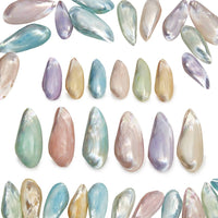 Assorted Medium to Large Individual Shells